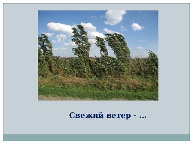 Свежий ветер - … 