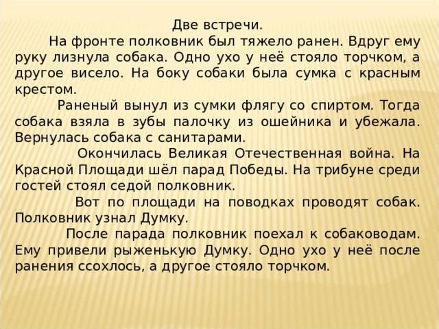 Две встречи.  На фронте полковник был тяжело ранен. Вдруг ему руку лизнула собака. Одно ухо у неё стояло торчком, а другое висело. На боку собаки была сумка с красным крестом.  Раненый вынул из сумки флягу со спиртом. Тогда собака взяла в зубы палочку из ошейника и убежала. Вернулась собака с санитарами.  Окончилась Великая Отечественная война. На Красной Площади шёл парад Победы. На трибуне среди гостей стоял седой полковник.  Вот по площади на поводках проводят собак. Полковник узнал Думку.  После парада полковник поехал к собаководам. Ему привели рыженькую Думку. Одно ухо у неё после ранения ссохлось, а другое стояло торчком. 