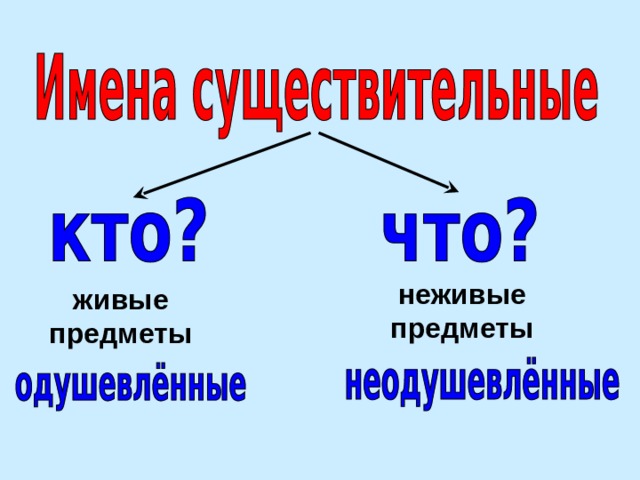 неживые предметы живые предметы 