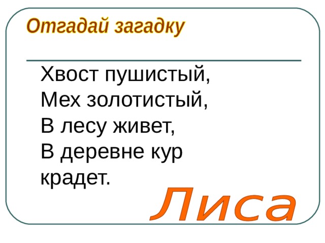 Хвост пушистый,  Мех золотистый,   В лесу живет,   В деревне кур крадет.  
