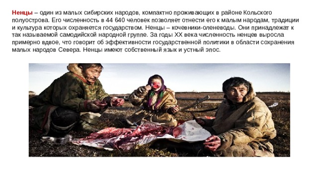 Ненцы   – один из малых сибирских народов, компактно проживающих в районе Кольского полуострова. Его численность в 44 640 человек позволяет отнести его к малым народам, традиции и культура которых охраняется государством. Ненцы – кочевники-оленеводы. Они принадлежат к так называемой самодийской народной группе. За годы XX века численность ненцев выросла примерно вдвое, что говорит об эффективности государственной политики в области сохранения малых народов Севера. Ненцы имеют собственный язык и устный эпос. 