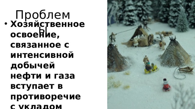 Проблемы Хозяйственное освоение, связанное с интенсивной добычей нефти и газа вступает в противоречие с укладом жизни коренных народов.  От загрязнения страдают оленьи пастбища и леса.  Уничтожая природу, промышленность разрушает уклад и культуру малочисленных народов Западной Сибири. В ХМАО для защиты традиционных видов хозяйства были созданы родовые угодья - специальные территории.  