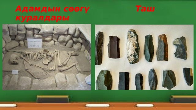 Адамдын сөөгү Таш куралдары 