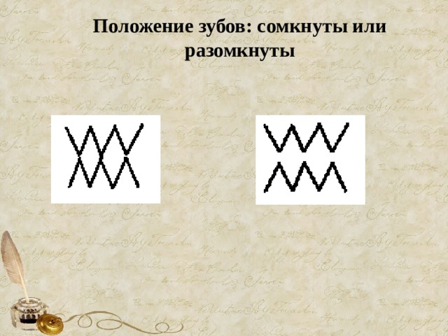 Положение зубов: сомкнуты или разомкнуты 