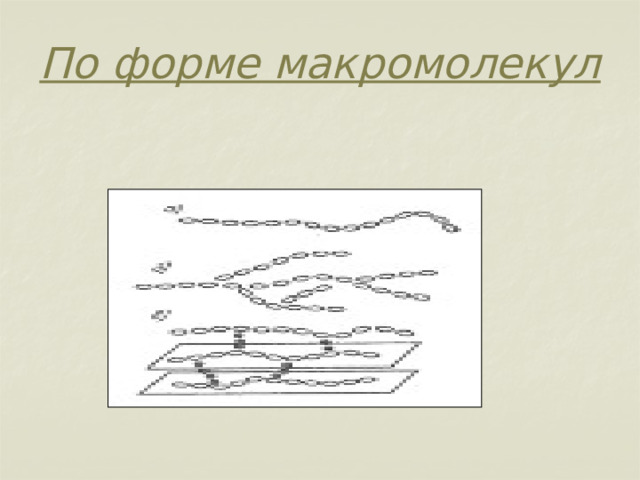 По форме макромолекул   