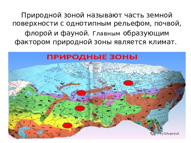 Природной зоной называют часть земной поверхности с однотипным рельефом, почвой, флорой и фауной.  Главным  образующим фактором природной зоны является климат. 