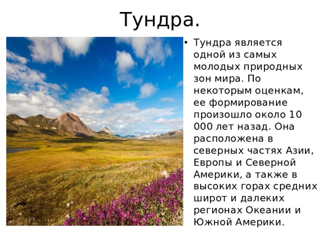 Тундра. Тундра является одной из самых молодых природных зон мира. По некоторым оценкам, ее формирование произошло около 10 000 лет назад. Она расположена в северных частях Азии, Европы и Северной Америки, а также в высоких горах средних широт и далеких регионах Океании и Южной Америки. 
