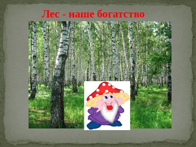 Лес - наше богатство 