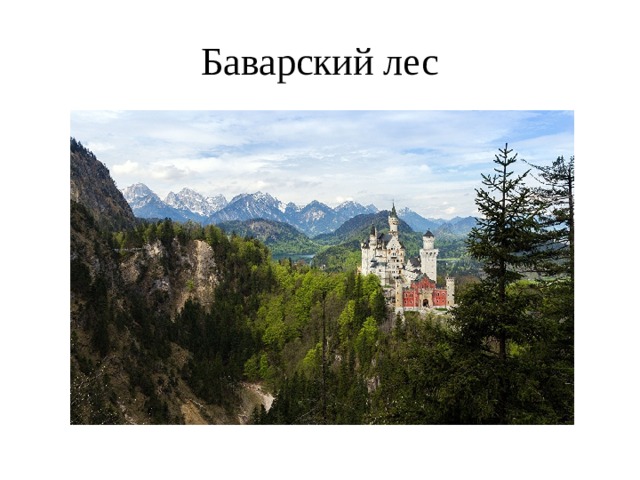 Баварский лес 