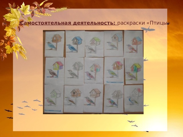 Самостоятельная деятельность: раскраски «Птицы» 