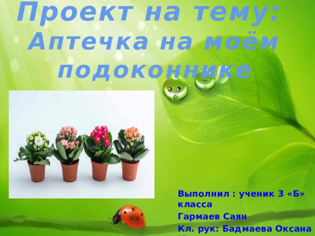 Проект на тему:  Аптечка на моём подоконнике Выполнил : ученик 3 «Б» класса Гармаев Саян Кл. рук: Бадмаева Оксана Юрьевна 
