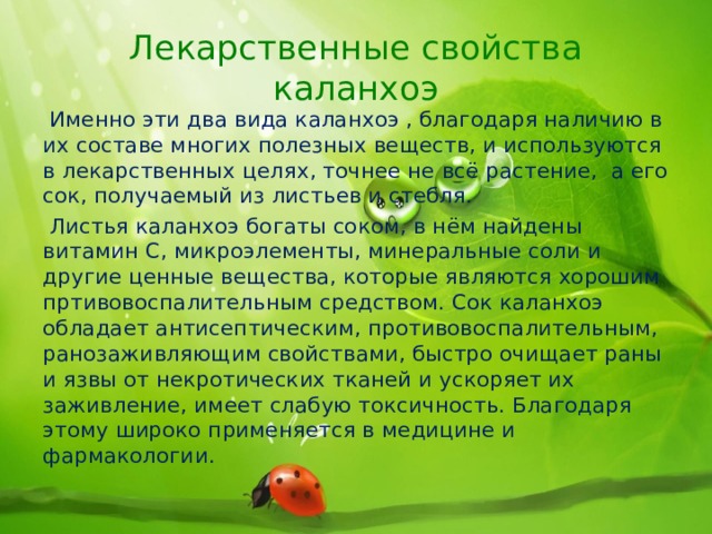 Лекарственные свойства каланхоэ  Именно эти два вида каланхоэ , благодаря наличию в их составе многих полезных веществ, и используются в лекарственных целях, точнее не всё растение, а его сок, получаемый из листьев и стебля.  Листья каланхоэ богаты соком, в нём найдены витамин С, микроэлементы, минеральные соли и другие ценные вещества, которые являются хорошим пртивовоспалительным средством. Сок каланхоэ обладает антисептическим, противовоспалительным, ранозаживляющим свойствами, быстро очищает раны и язвы от некротических тканей и ускоряет их заживление, имеет слабую токсичность. Благодаря этому широко применяется в медицине и фармакологии. 