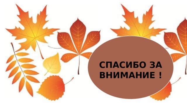 СПАСИБО ЗА ВНИМАНИЕ !  