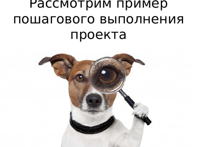 Рассмотрим пример пошагового выполнения проекта 