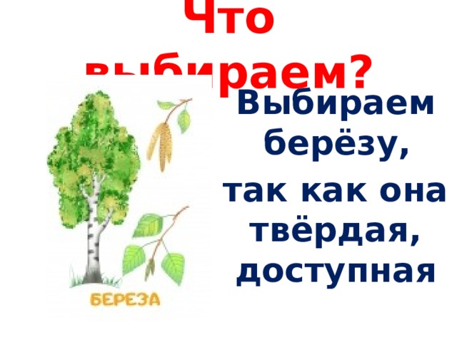 Что выбираем? Выбираем берёзу, так как она твёрдая, доступная 