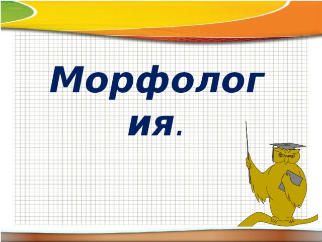 Морфология . 