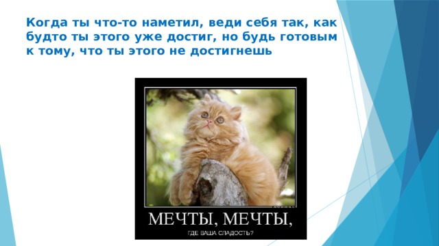 Когда ты что-то наметил, веди себя так, как будто ты этого уже достиг, но будь готовым к тому, что ты этого не достигнешь 