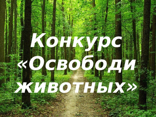 Конкурс «Освободи животных» 