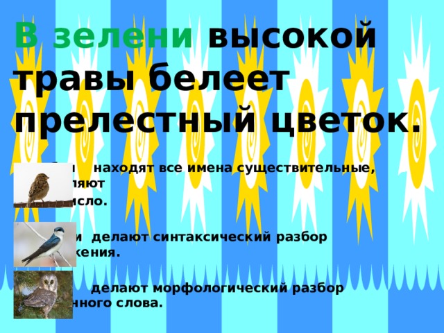 В зелени  высокой травы белеет прелестный цветок.  Воробьи находят все имена существительные, определяют род и число.  Ласточки делают синтаксический разбор предложения.  Совы делают морфологический разбор выделенного слова. 