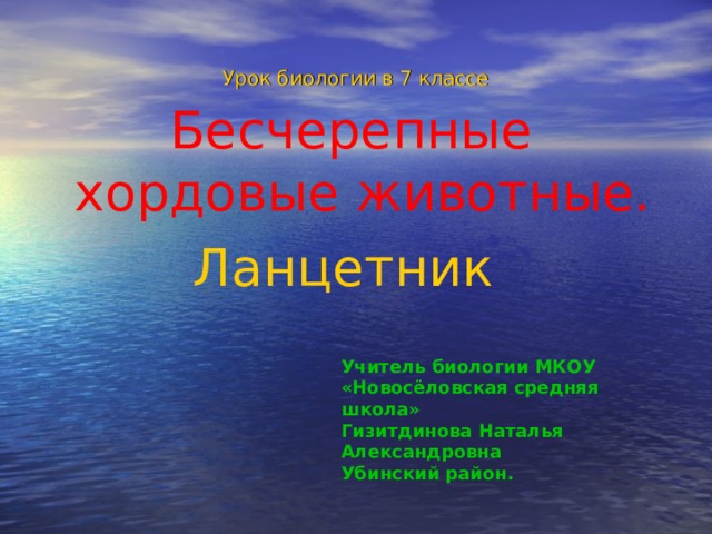 Урок биологии в 7 классе Бесчерепные хордовые животные. Ланцетник Учитель биологии МКОУ «Новосёловская средняя школа» Гизитдинова Наталья Александровна Убинский район. 