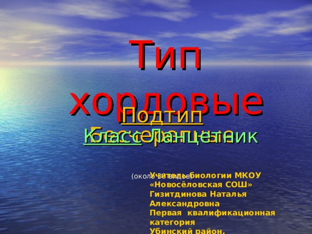 Тип хордовые Подтип Бесчерепные (около 30 видов) Класс Ланцетник Учитель биологии МКОУ «Новосёловская СОШ» Гизитдинова Наталья Александровна Первая квалификационная категория Убинский район. 