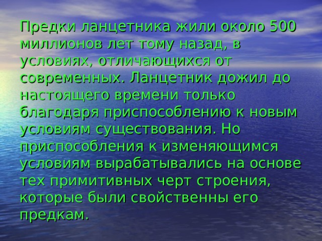 Предки ланцетника жили около 500 миллионов лет тому назад, в условиях, отличающихся от современных. Ланцетник дожил до настоящего времени только благодаря приспособлению к новым условиям существования. Но приспособления к изменяющимся условиям вырабатывались на основе тех примитивных черт строения, которые были свойственны его предкам. 