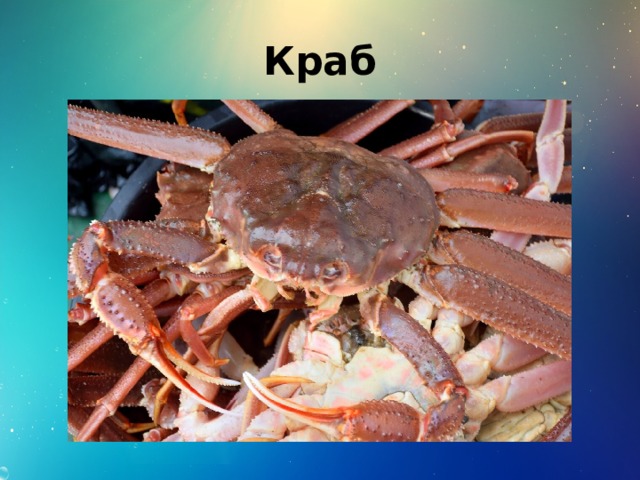 Краб 
