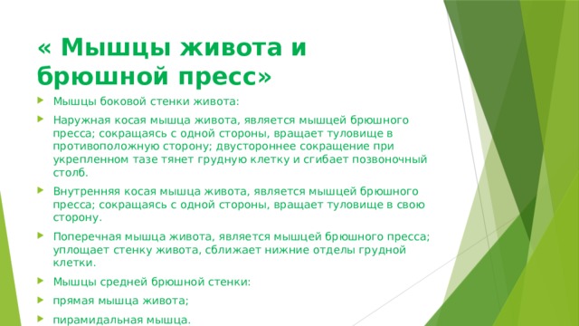 « Мышцы живота и брюшной пресс»   Мышцы боковой стенки живота: Наружная косая мышца живота, является мышцей брюшного пресса; сокращаясь с одной стороны, вращает туловище в противоположную сторону; двустороннее сокращение при укрепленном тазе тянет грудную клетку и сгибает позвоночный столб. Внутренняя косая мышца живота, является мышцей брюшного пресса; сокращаясь с одной стороны, вращает туловище в свою сторону. Поперечная мышца живота, является мышцей брюшного пресса; уплощает стенку живота, сближает нижние отделы грудной клетки. Мышцы средней брюшной стенки: прямая мышца живота; пирамидальная мышца. 