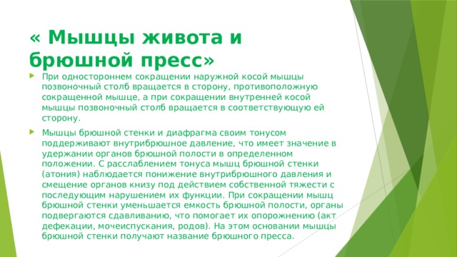 « Мышцы живота и брюшной пресс»   При одностороннем сокращении наружной косой мышцы позвоночный столб вращается в сторону, противоположную сокращенной мышце, а при сокращении внутренней косой мышцы позвоночный столб вращается в соответствующую ей сторону. Мышцы брюшной стенки и диафрагма своим тонусом поддерживают внутрибрюшное давление, что имеет значение в удержании органов брюшной полости в определенном положении. С расслаблением тонуса мышц брюшной стенки (атония) наблюдается понижение внутрибрюшного давления и смещение органов книзу под действием собственной тяжести с последующим нарушением их функции. При сокращении мышц брюшной стенки уменьшается емкость брюшной полости, органы подвергаются сдавливанию, что помогает их опорожнению (акт дефекации, мочеиспускания, родов). На этом основании мышцы брюшной стенки получают название брюшного пресса. 