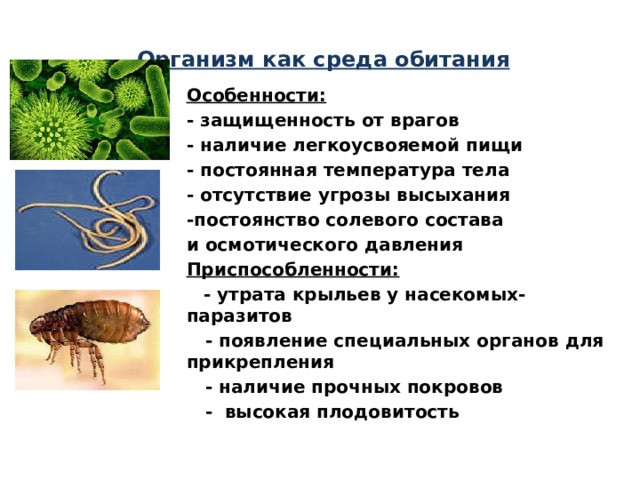 Организм как среда обитания Особенности: - защищенность от врагов - наличие легкоусвояемой пищи - постоянная температура тела - отсутствие угрозы высыхания -постоянство солевого состава и осмотического давления Приспособленности:  - утрата крыльев у насекомых-паразитов  - появление специальных органов для прикрепления  - наличие прочных покровов  - высокая плодовитость  