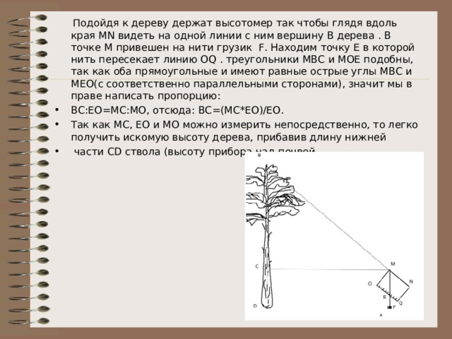  Подойдя к дереву держат высотомер так чтобы глядя вдоль края MN видеть на одной линии с ним вершину В дерева . В точке М привешен на нити грузик F . Находим точку Е в которой нить пересекает линию OQ . треугольники МВС и МОЕ подобны, так как оба прямоугольные и имеют равные острые углы МВС и МЕО(с соответственно параллельными сторонами), значит мы в праве написать пропорцию:   ВС:ЕО=МС:МО, отсюда: ВС=(МС*ЕО)/ЕО. Так как МС, ЕО и МО можно измерить непосредственно, то легко получить искомую высоту дерева, прибавив длину нижней  части С D ствола (высоту прибора над почвой. 