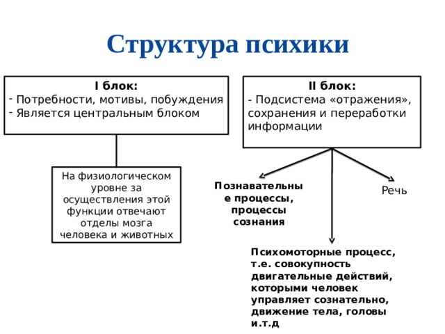 Структура психики I блок: II блок:  Потребности, мотивы, побуждения  Является центральным блоком - Подсистема «отражения», сохранения и переработки информации На физиологическом уровне за осуществления этой функции отвечают отделы мозга человека и животных Познавательные процессы, процессы сознания Речь Психомоторные процесс, т.е. совокупность двигательные действий, которыми человек управляет сознательно, движение тела, головы и.т.д 
