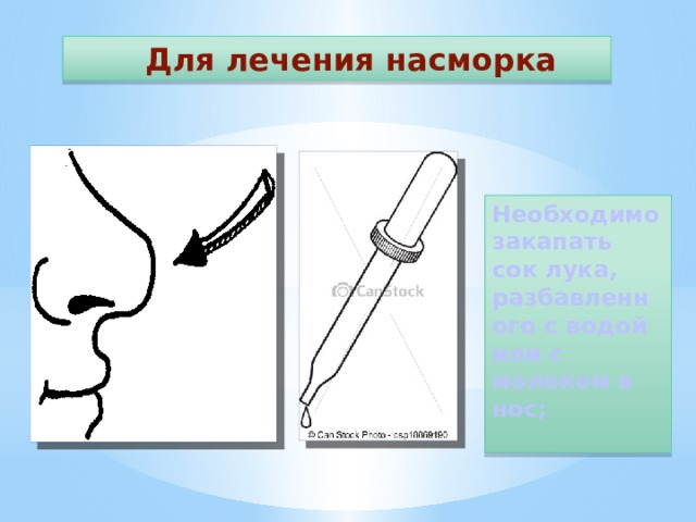  Для лечения насморка Необходимо закапать сок лука, разбавленного с водой или с молоком в нос;  