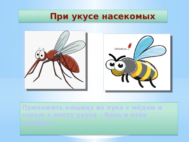  При укусе насекомых Приложить кашицу из лука с мёдом и солью к месту укуса – боль и отёк пройдут.  