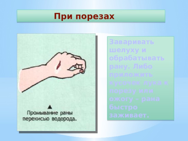  При порезах Заваривать шелуху и обрабатывать рану. Либо приложить кусочек лука к порезу или ожогу – рана быстро заживает. 