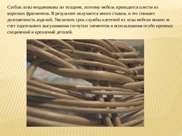 Стебли лозы неодинаковы по толщине, поэтому мебель приходится плести из коротких фрагментов. В результате получается много стыков, и это снижает долговечность изделий. Увеличить срок службы плетеной из лозы мебели можно за счет тщательного высушивания согнутых элементов и использования особо прочных соединений и креплений деталей. 
