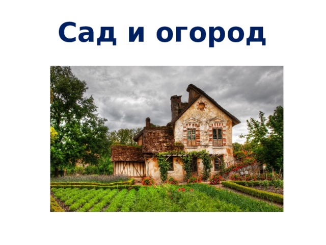 Сад и огород Динозавры   