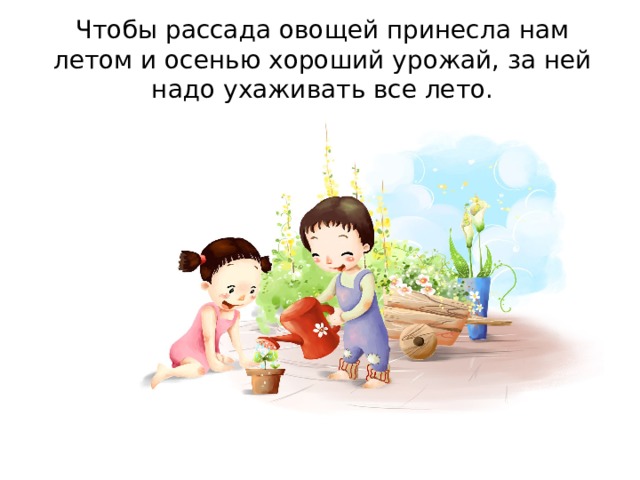 Чтобы рассада овощей принесла нам летом и осенью хороший урожай, за ней надо ухаживать все лето. 