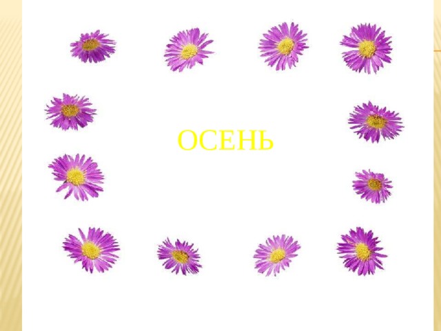 ОСЕНЬ Поздняя осень. 