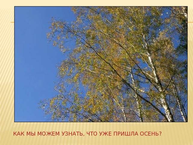 Как мы можем узнать, что уже пришла осень? 