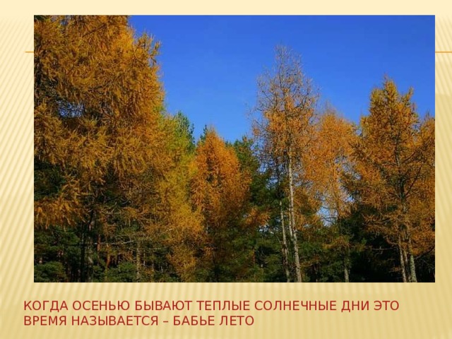 Когда осенью бывают теплые солнечные дни это время называется – бабье лето 