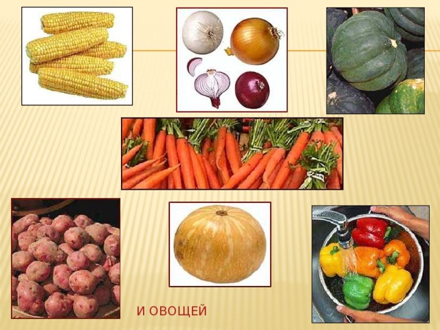 И овощей 