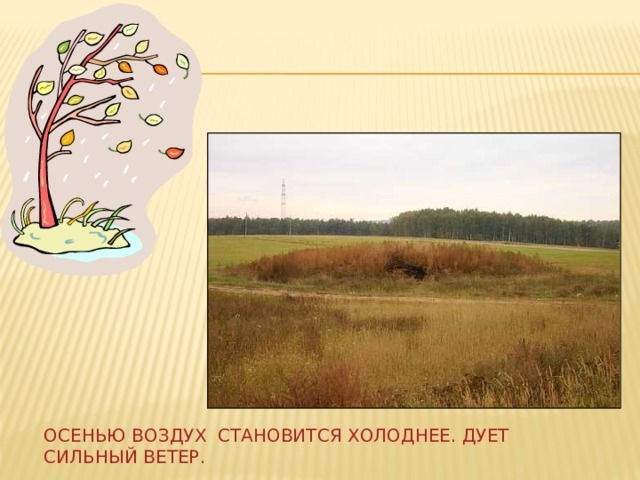 Осенью воздух становится холоднее. Дует сильный ветер. 