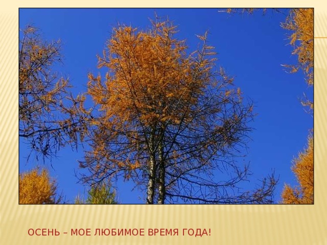 Осень – мое любимое время года! 