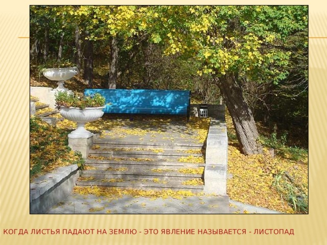 Когда листья падают на землю - это явление называется - листопад  