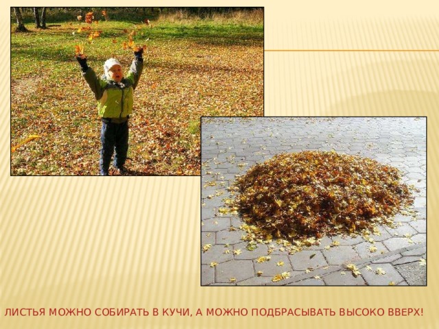 Листья можно собирать в кучи, а можно подбрасывать высоко вверх! 