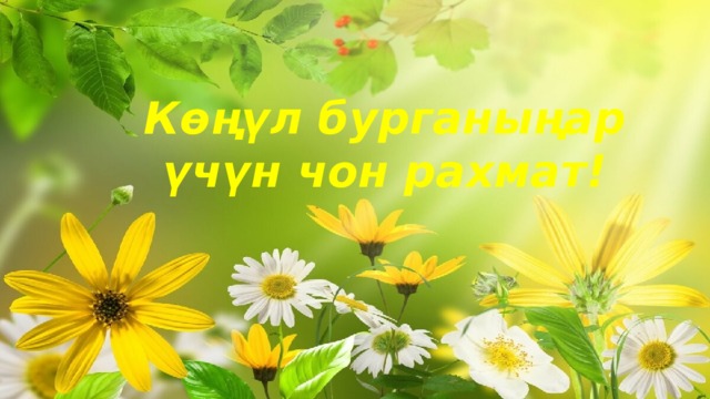 Көңүл бурганыңар үчүн чон рахмат! 