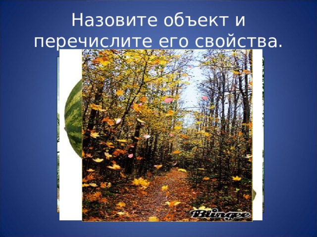 Назовите объект и перечислите его свойства. 