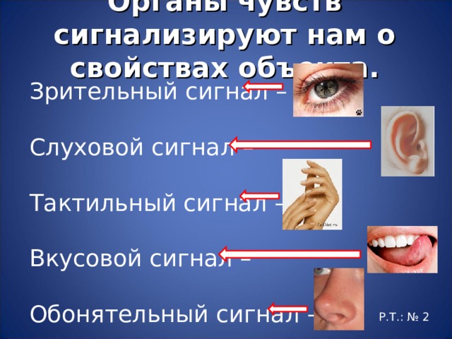 Органы чувств сигнализируют нам о свойствах объекта.   Зрительный сигнал – Слуховой сигнал – Тактильный сигнал – Вкусовой сигнал – Обонятельный сигнал – Р.Т.: № 2 