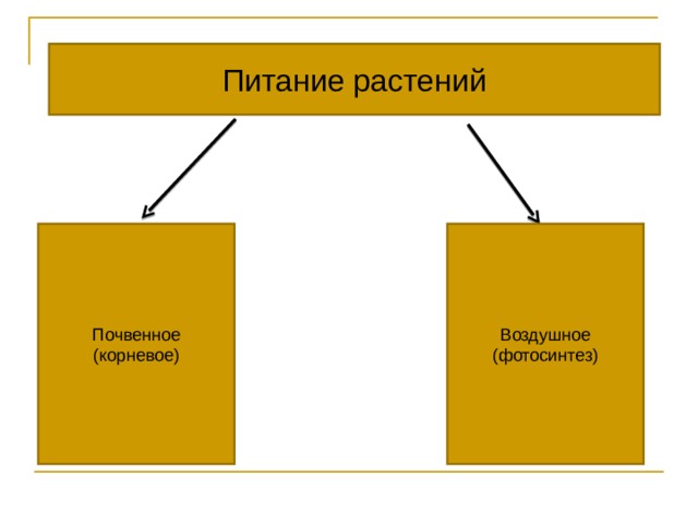 Питание растений Почвенное (корневое) Воздушное (фотосинтез) 